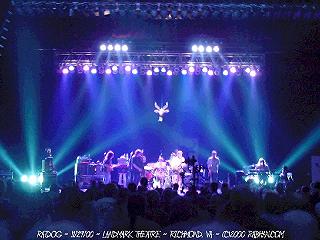 ratdog2.jpg